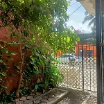 Faisan