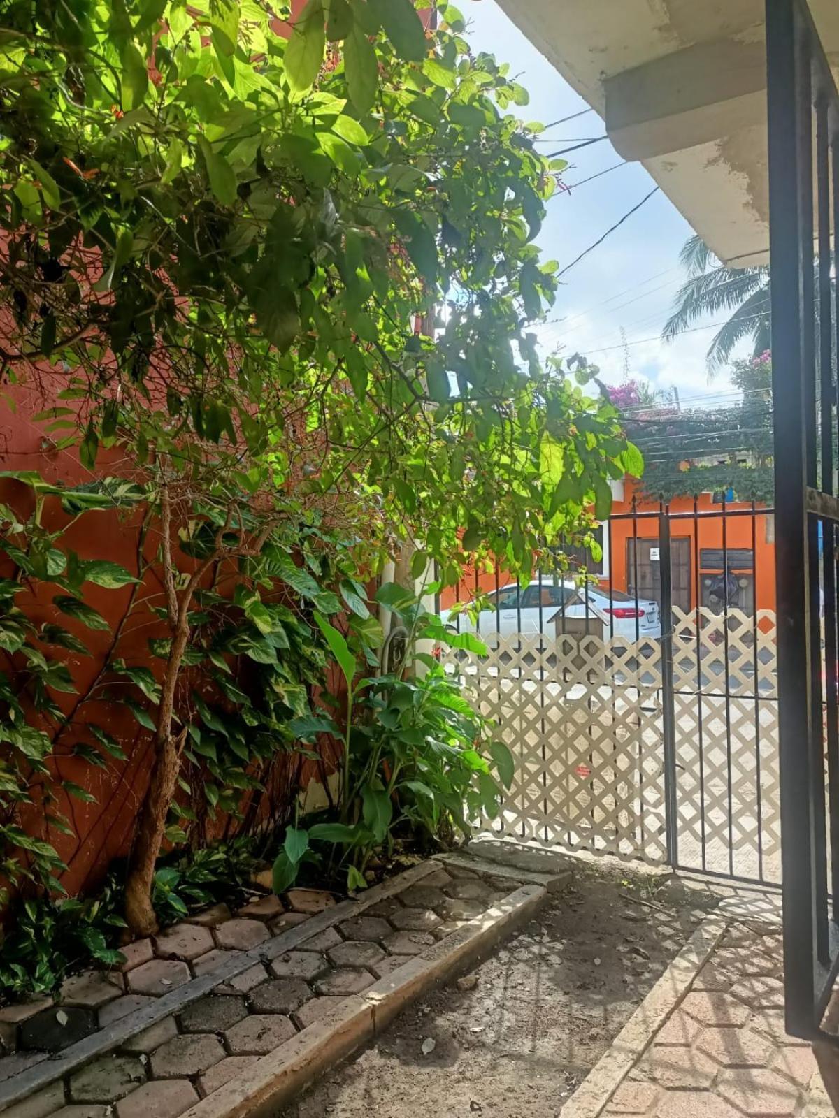 Faisan Apartamento *