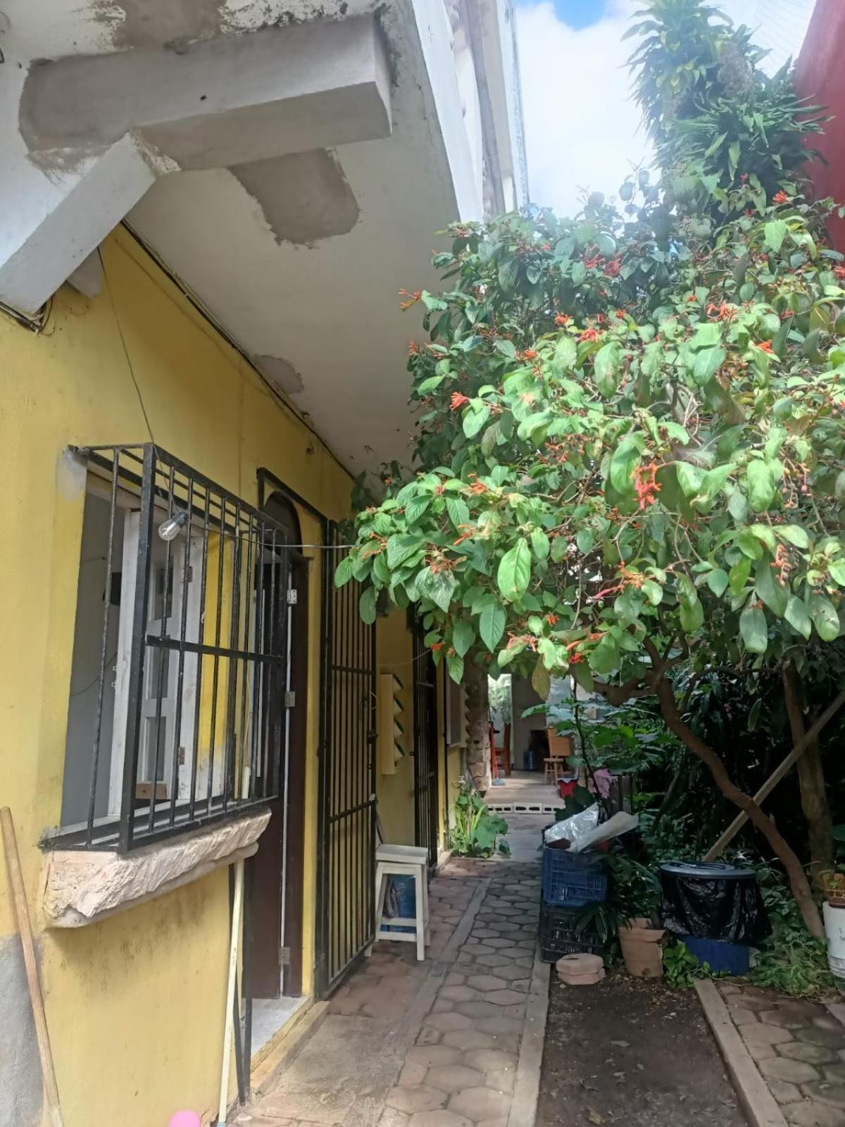 Apartamento Faisan